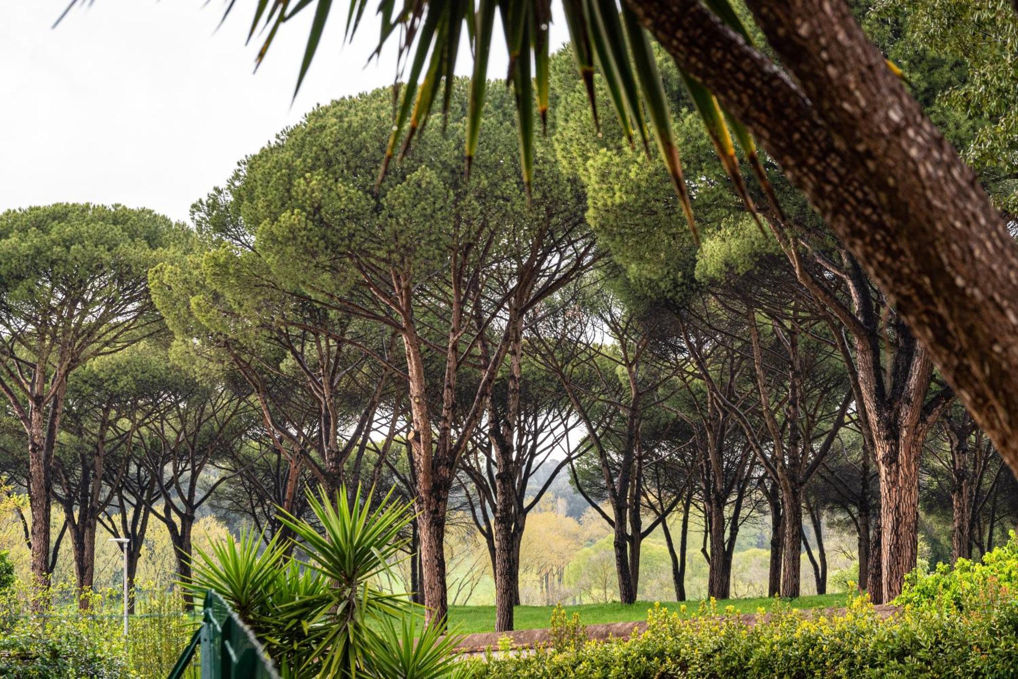 Pamphili Garden Rom
